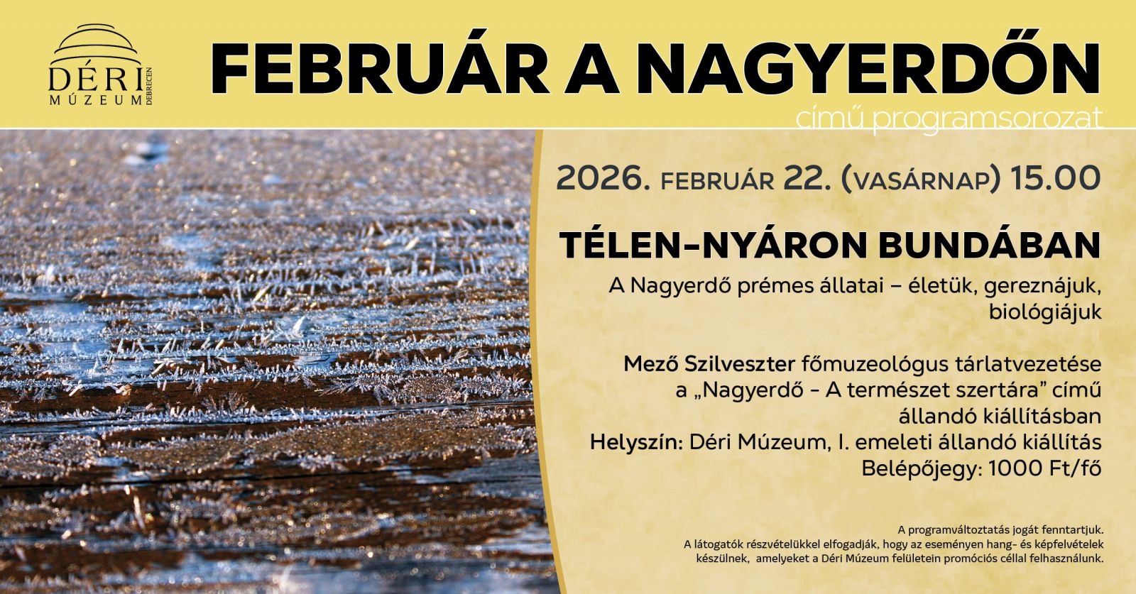 Február a Nagyerdőn